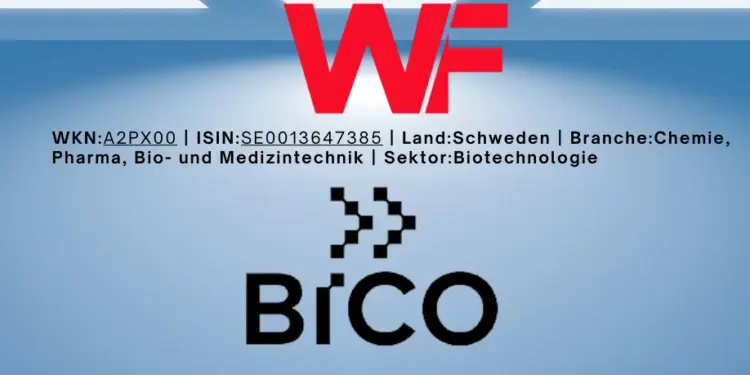 Eine detaillierte Analyse der Bico Group Aktie, ihre Chancen und Risiken für Investoren